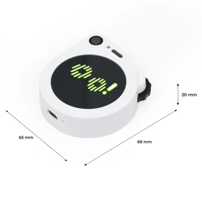 SENSECAP WATCHER W1: AGENTE DE IA FÍSICO CON CÁMARA, VOZ Y LLM PARA VIGILAR ESPACIOS