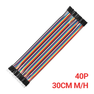 CABLE DUPONT 40 LINEAS 30CM M/H