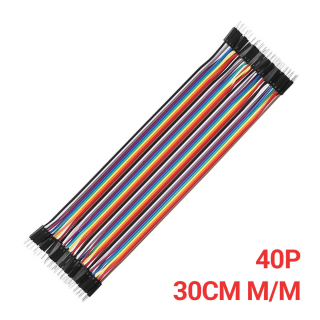 CABLE DUPONT 40 LINEAS 30CM M/M