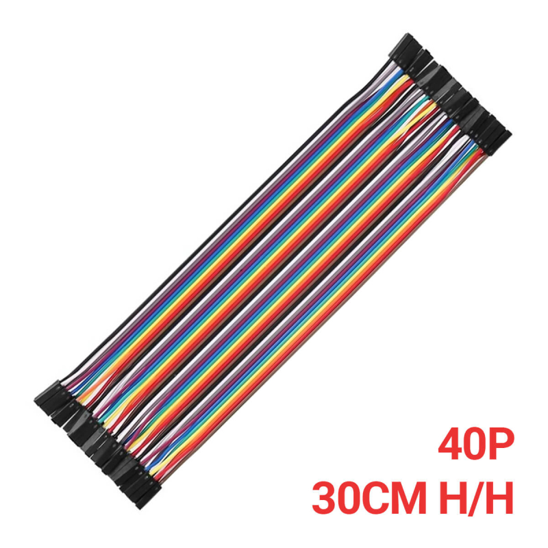 CABLE DUPONT 40 LINEAS 30CM H/H