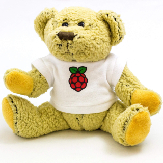 BABBAGE BEAR OFICIAL RASPBERRY PI