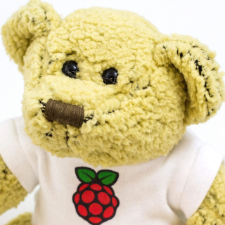 BABBAGE BEAR OFICIAL RASPBERRY PI