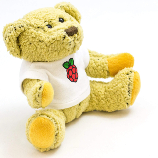 BABBAGE BEAR OFICIAL RASPBERRY PI