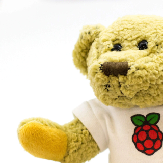 BABBAGE BEAR OFICIAL RASPBERRY PI