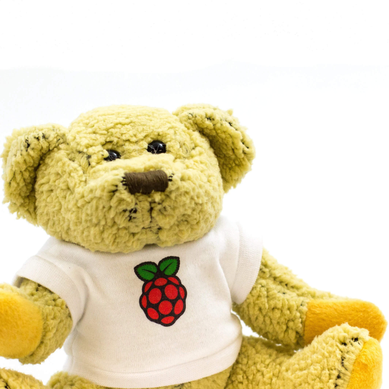 BABBAGE BEAR OFICIAL RASPBERRY PI