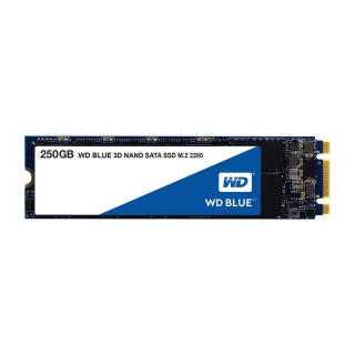 WESTERN DIGITAL WD BLUE SSD M.2 2280 SATA 250GB WDS250G2B0B