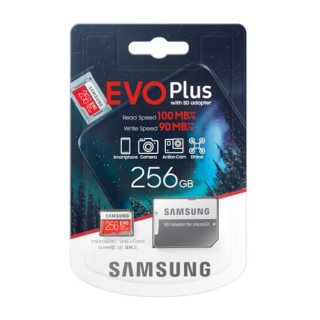 SAMSUNG EVO PLUS (2020) MICROSDXC 256GB C10 UHS-I U3 100MB/S