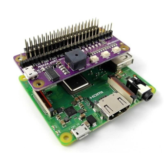 Maker pHAT: Simplifying Raspberry Pi for {Education}