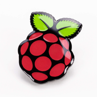 PIN OFICIAL RASPBERRY PI